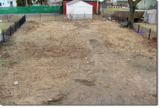 before_after_eric_toensmeier_2004