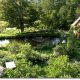 Ben Falks permaculture maison 4 hectares