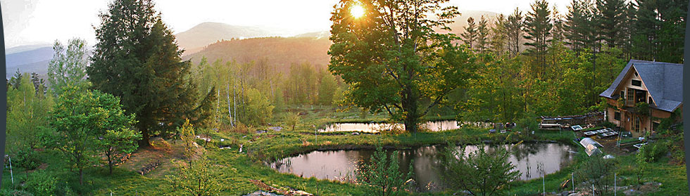 ben falk ponds permaculture home