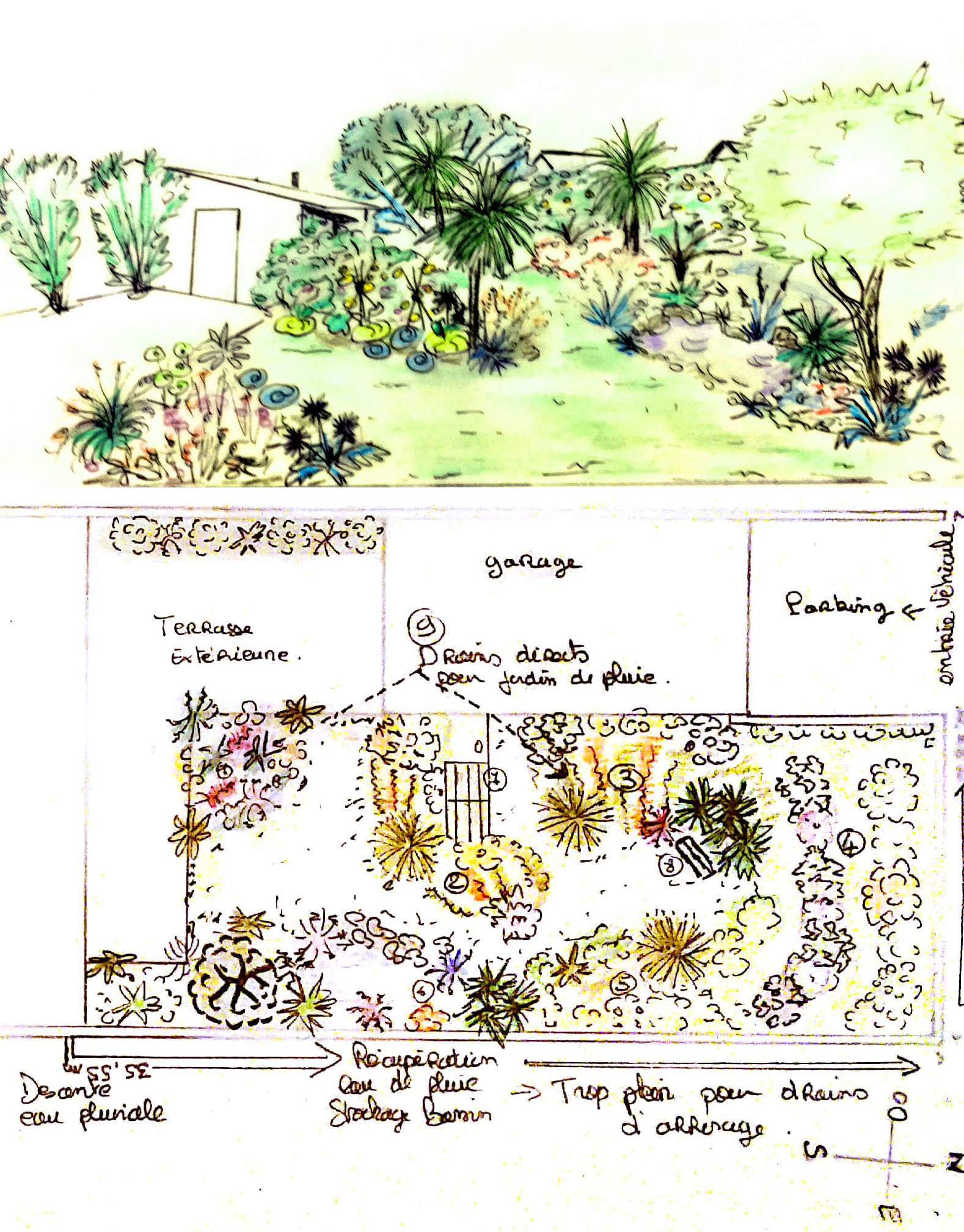 paysagisme permaculture