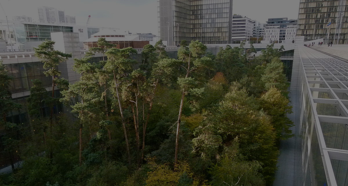 forêt urbaine en ville terre permaculture