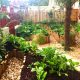 potager en permaculture design