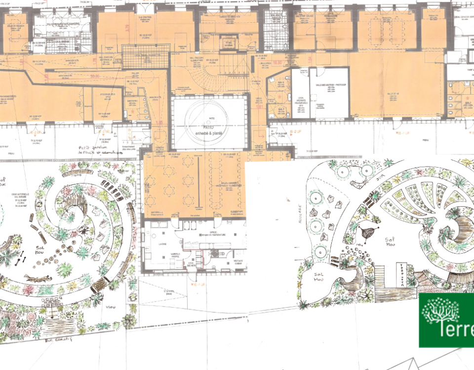 Design permaculture cour d'école motif naturel