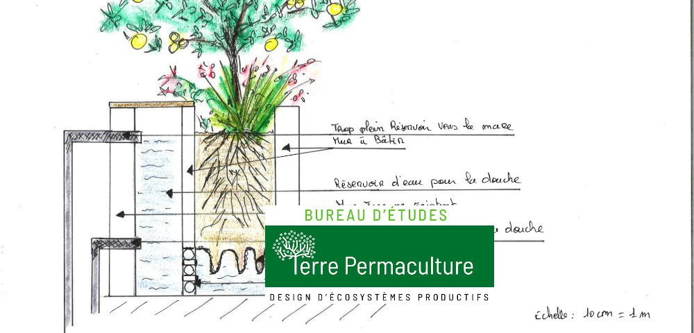 Permaculture Coupe bac à mèches wicking bed