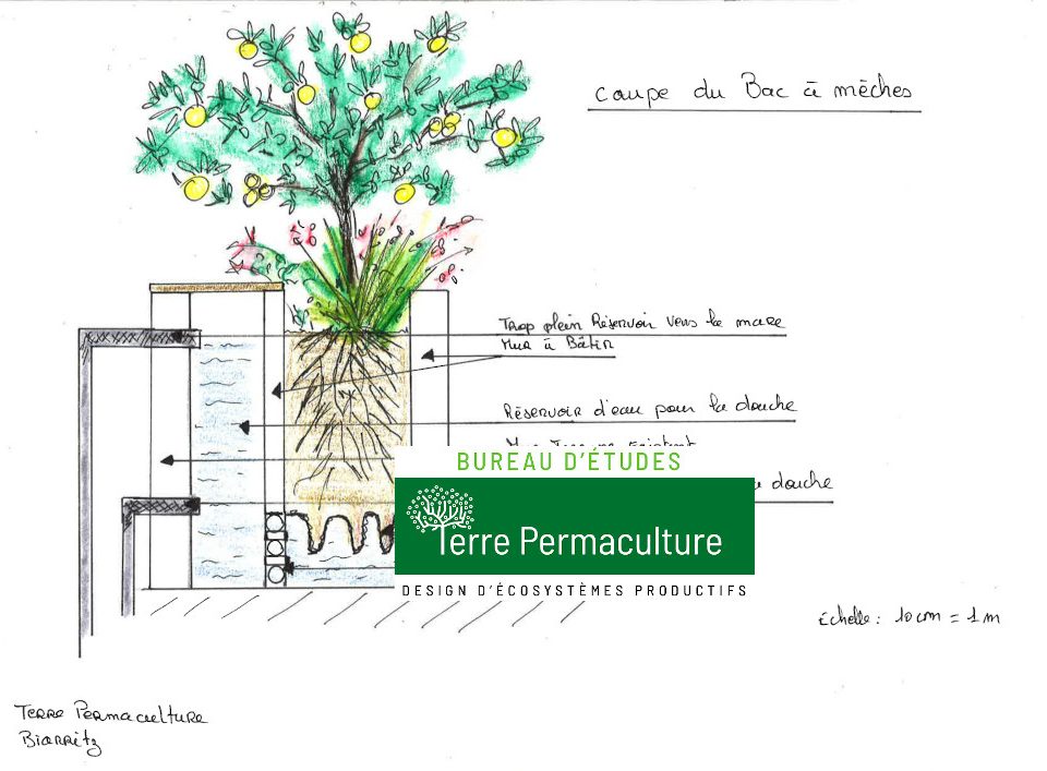 Permaculture Coupe bac à mèches wicking bed