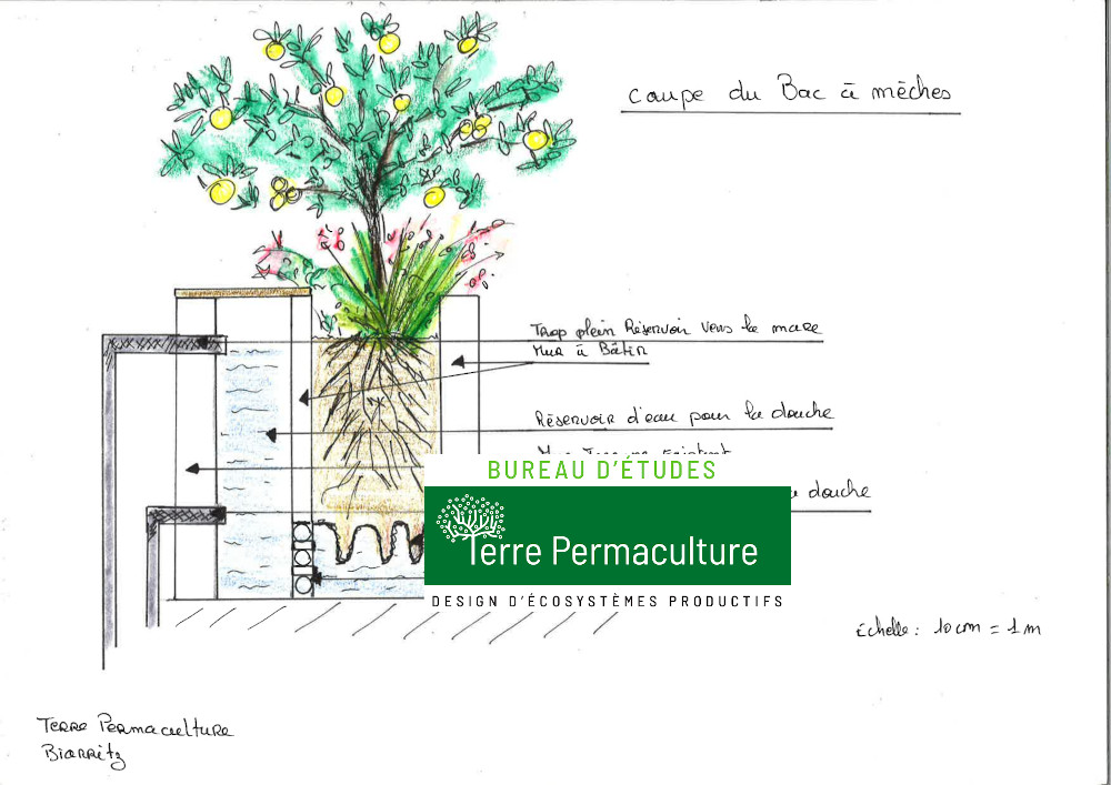Permaculture Coupe bac à mèches wicking bed