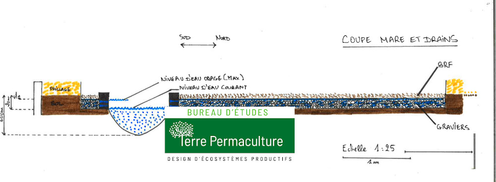 design en permaculture eau pluie Coupe mare et drains