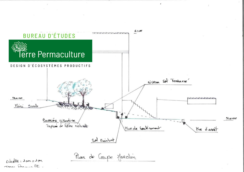 designer en permaculture urbaine ville Coupe du jardin