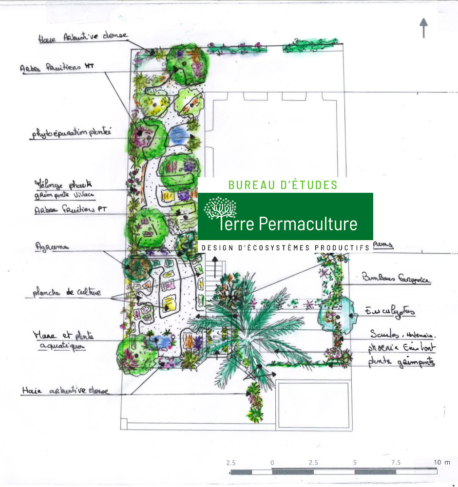 designer en permaculture ville autonomie Plan couche végétale