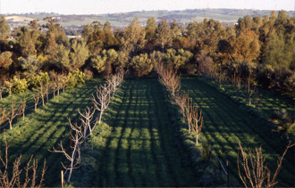 avant-apres-permaculture