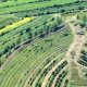 new forest farm ferme rentable permaculture 40 hectares