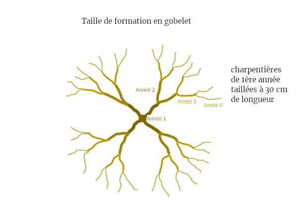 gobelet permaculture