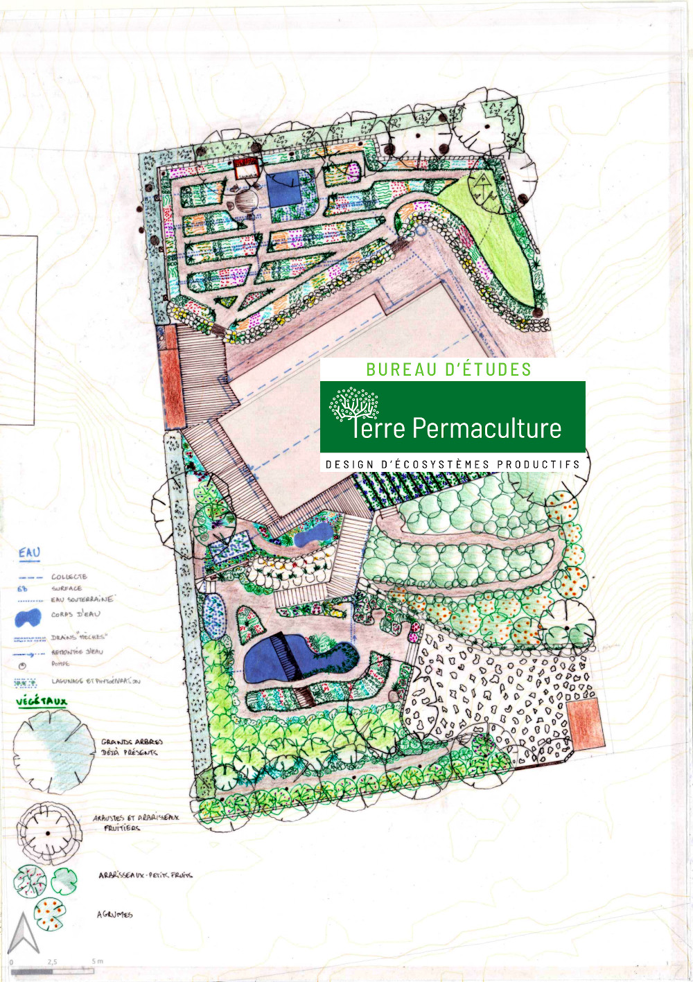 Design de l'eau en permaculture sur sol sableux, avec phytoépuration, stockage et récupération