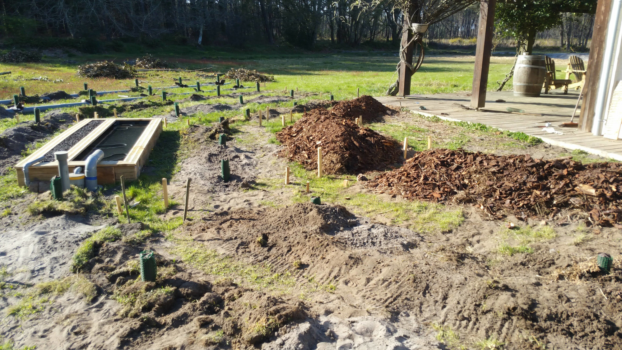 potager auto-irrigué permaculture