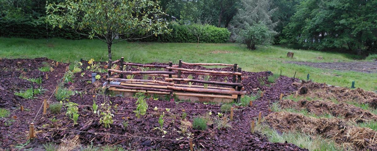 Potager à mèches auto-irrigué permaculture