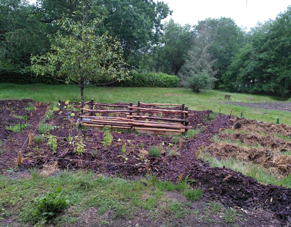 Potager à mèches auto-irrigué permaculture