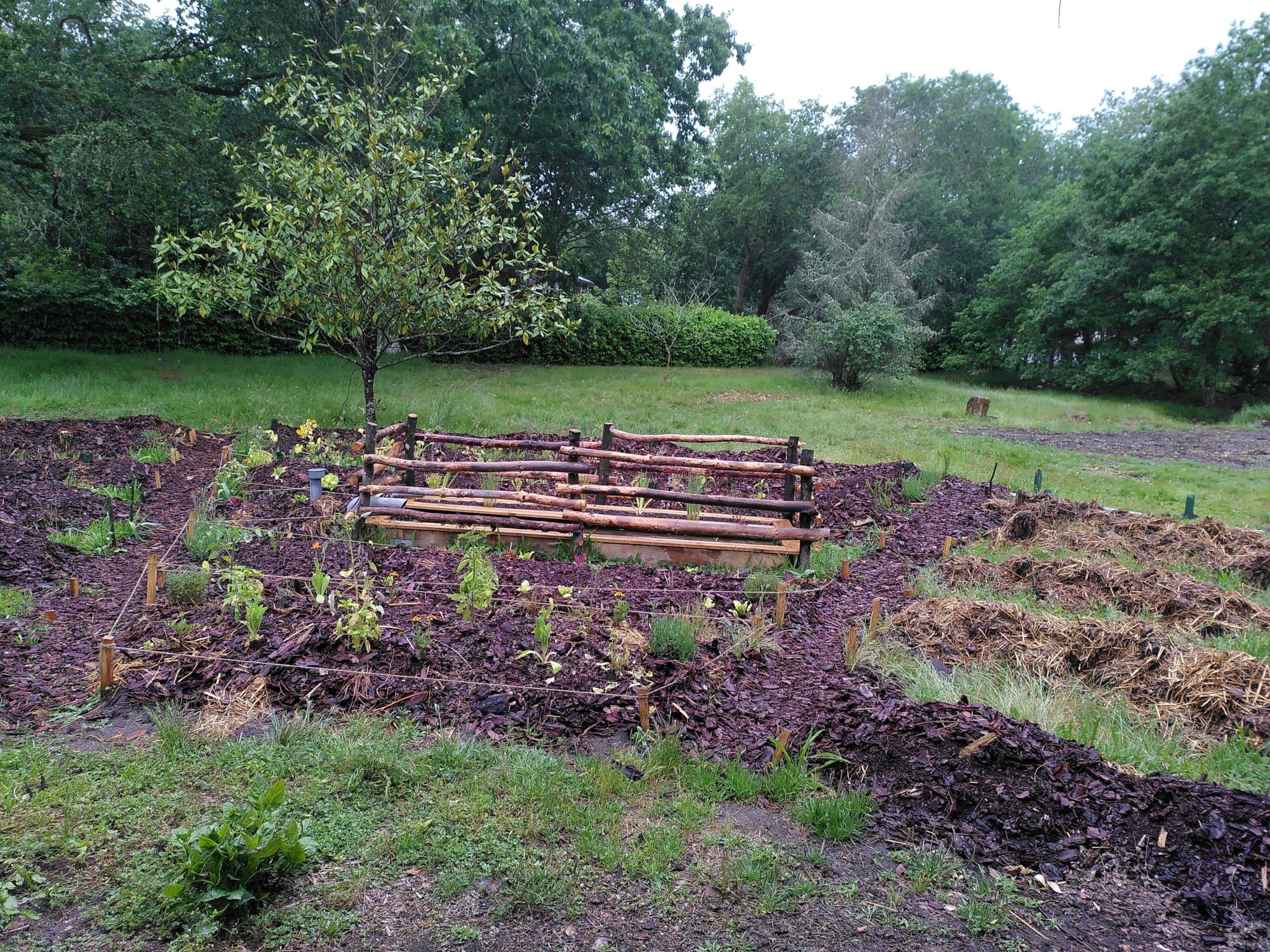 Potager à mèches auto-irrigué permaculture