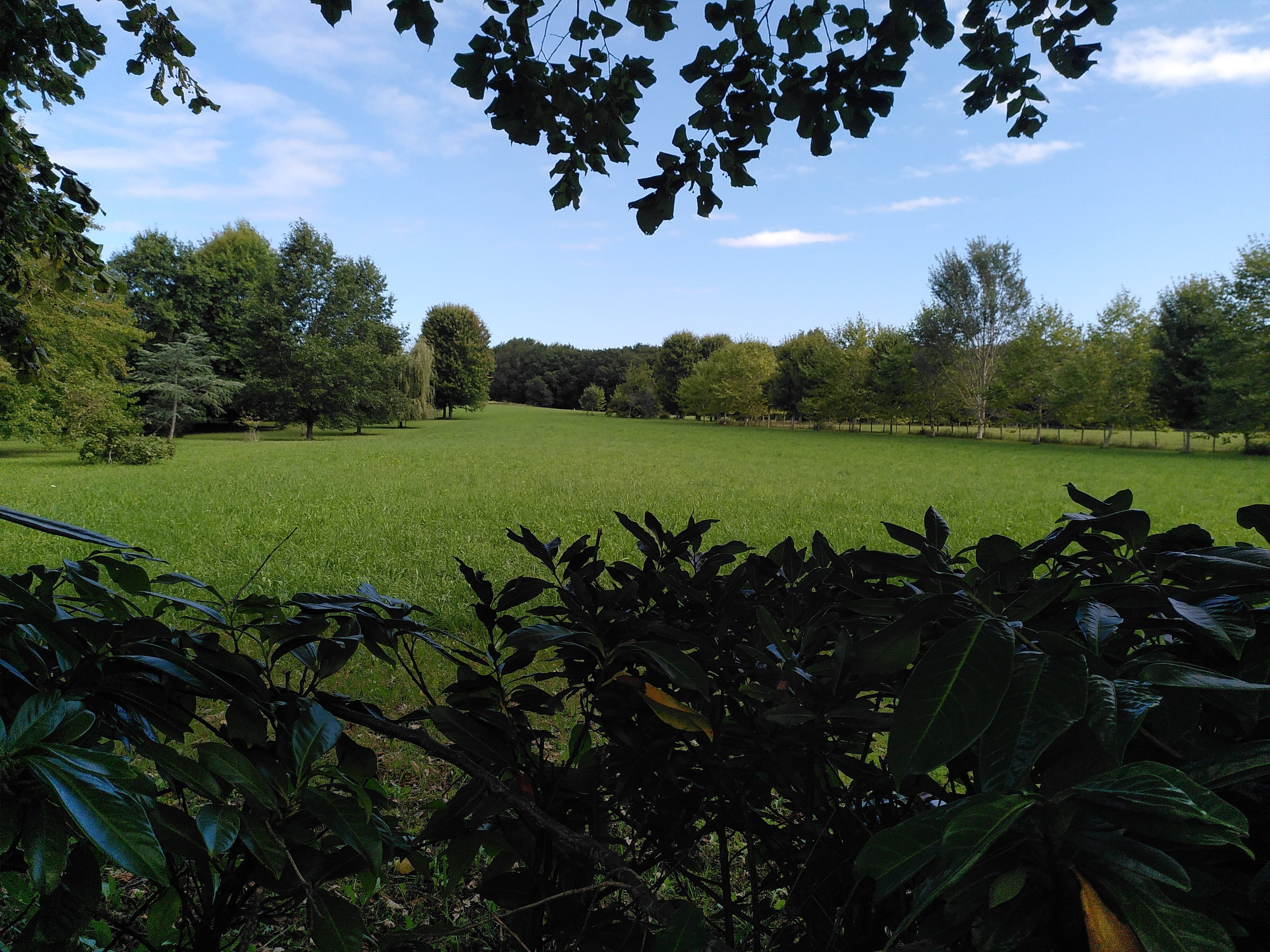 permaculture Food Forest forêt comestible