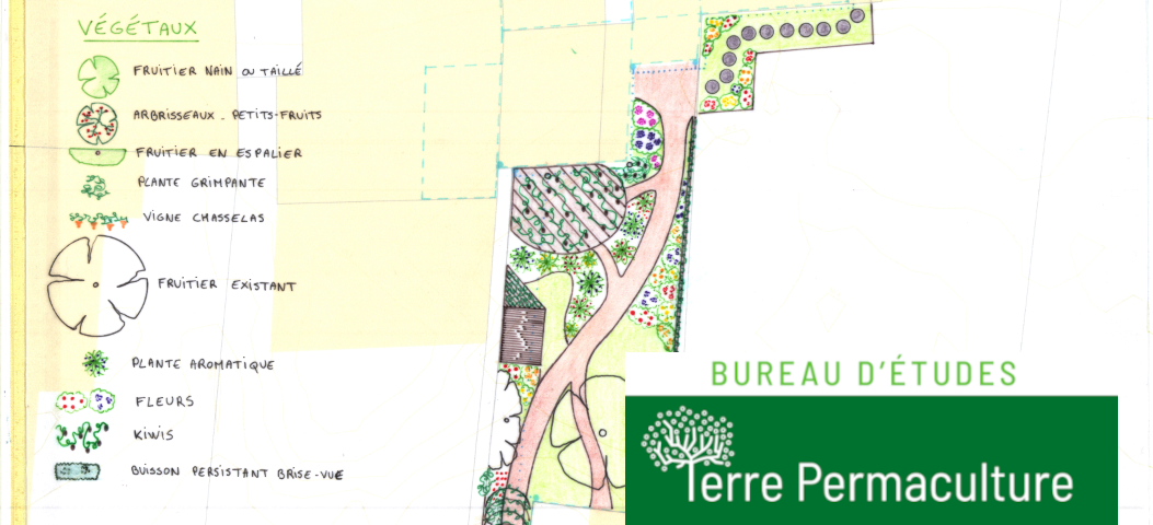 design permaculture jardin urbain