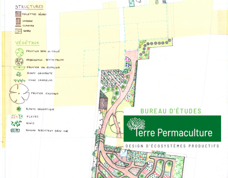 design permaculture jardin urbain