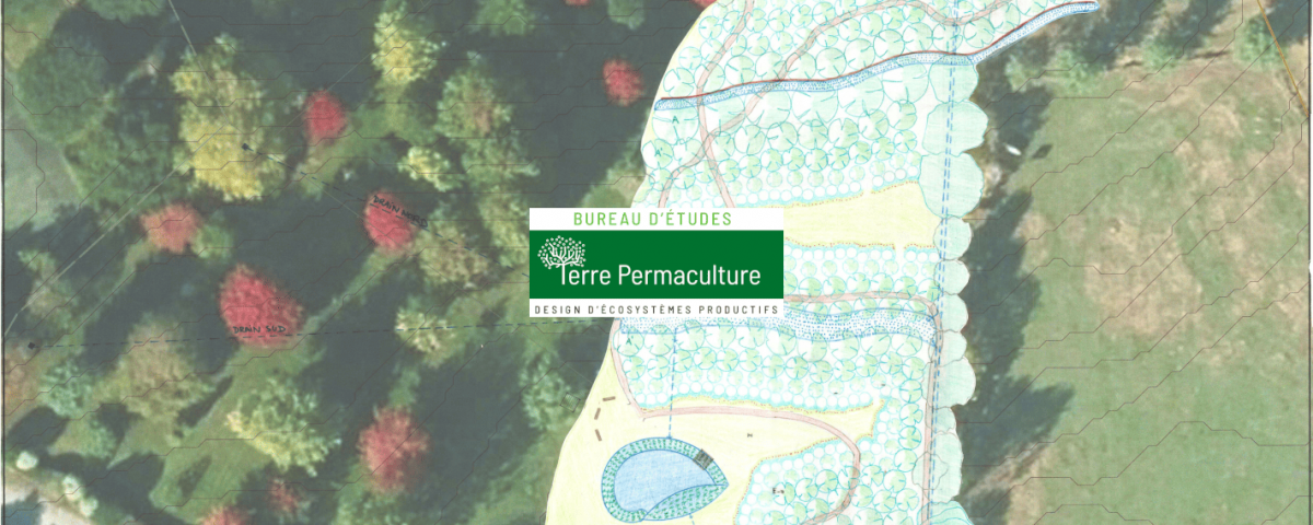 design Food Forest Permaculture Forêt comestible