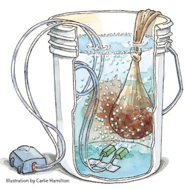 compost-tea thé de compost fertilité sol vivant